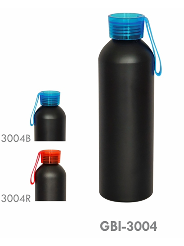 sports bottle/750ml/aluminium/matt