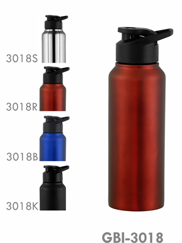 color stainless steel bottle/750ml/red
