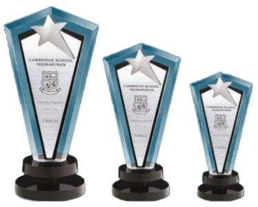 Acrylic star diamond trophy (Large-8.5"x4.25")