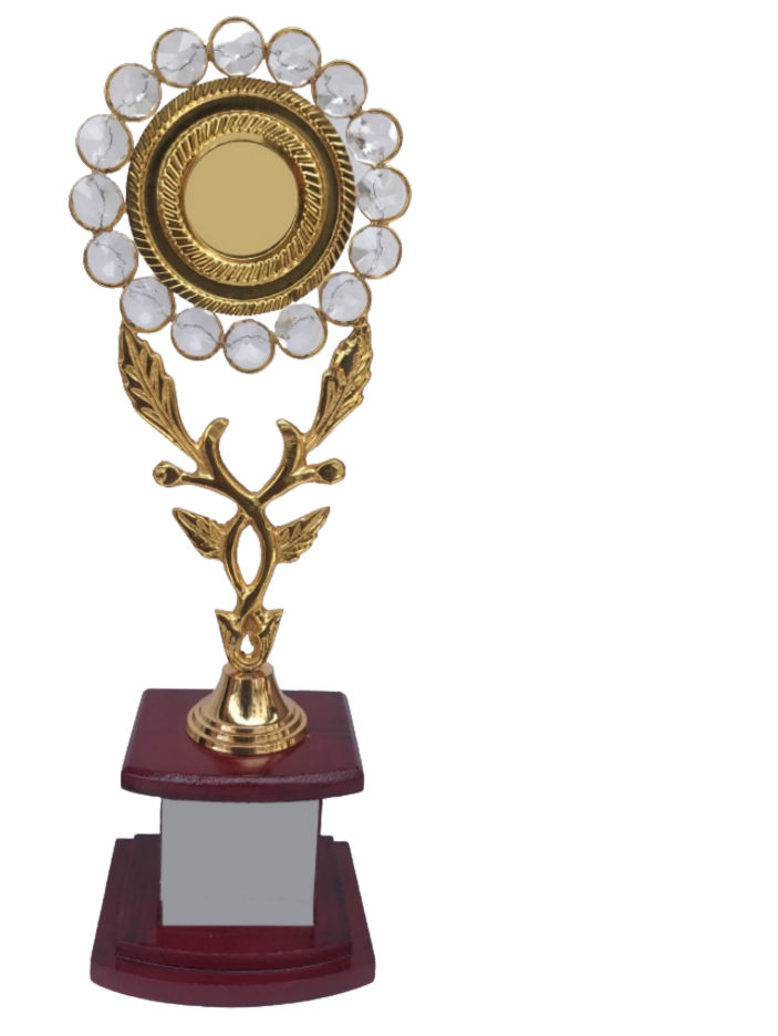 Circle metal trophy (Large -14.5")