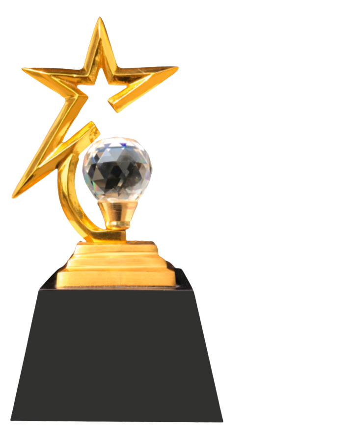 Star metal trophy (Large-9.5")
