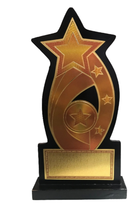 Big star wooden trophy (Large-10.5")