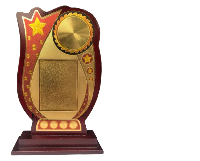 Small Star rectangle trophy ( Large- 11")