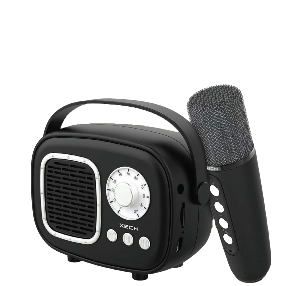 Rechargeable karaoke party Speaker
