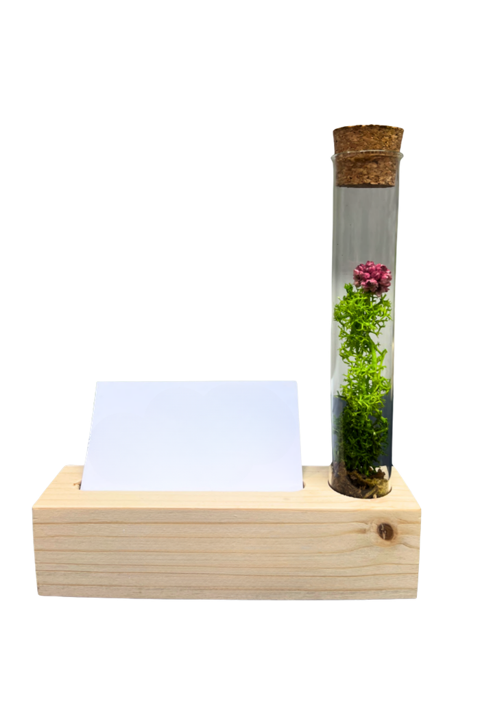 Eco - tube organiser --- 5.5 x 1.5 x 1.5 inch, Tube - 6 x 1 inch