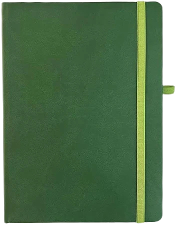 A5 dairy ruled 190 pages