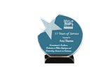 Acrylic oval star trophy (6.5"x6")