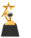 Star metal trophy (Large-9.5")