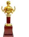 cup metal trophy (Large-18.5")