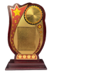 Small Star rectangle trophy ( Large- 11")