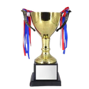 Customzed Premium Metal Trophy