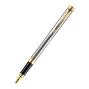 Folio Stainless Steel Gold Trim Fountain Pen